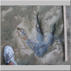 100_1005 (2009-28-07)m.jpg